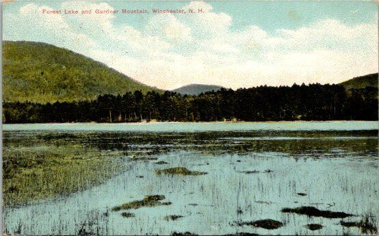 Winchester, NH  Forest Lake and Gardner Mountain Postcard