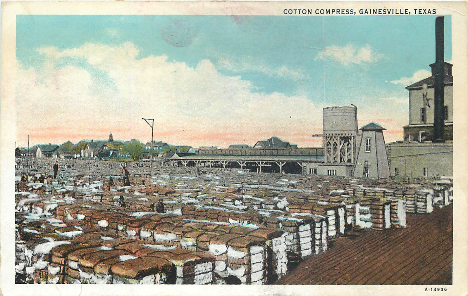 Cotton Compress Gainvesville Texas Album Damage Unused Pre-Linen Postcard B796 