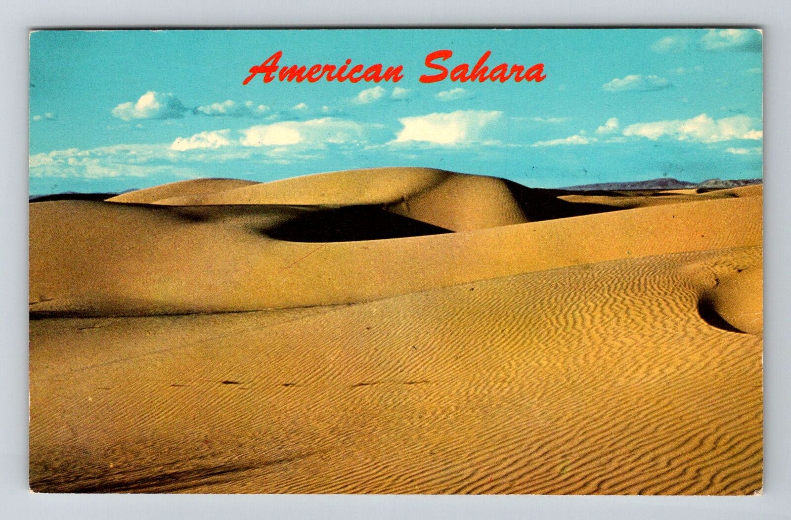 Yuma AZ-Arizona, American Sahara, Sand Dunes, Vintage Postcard
