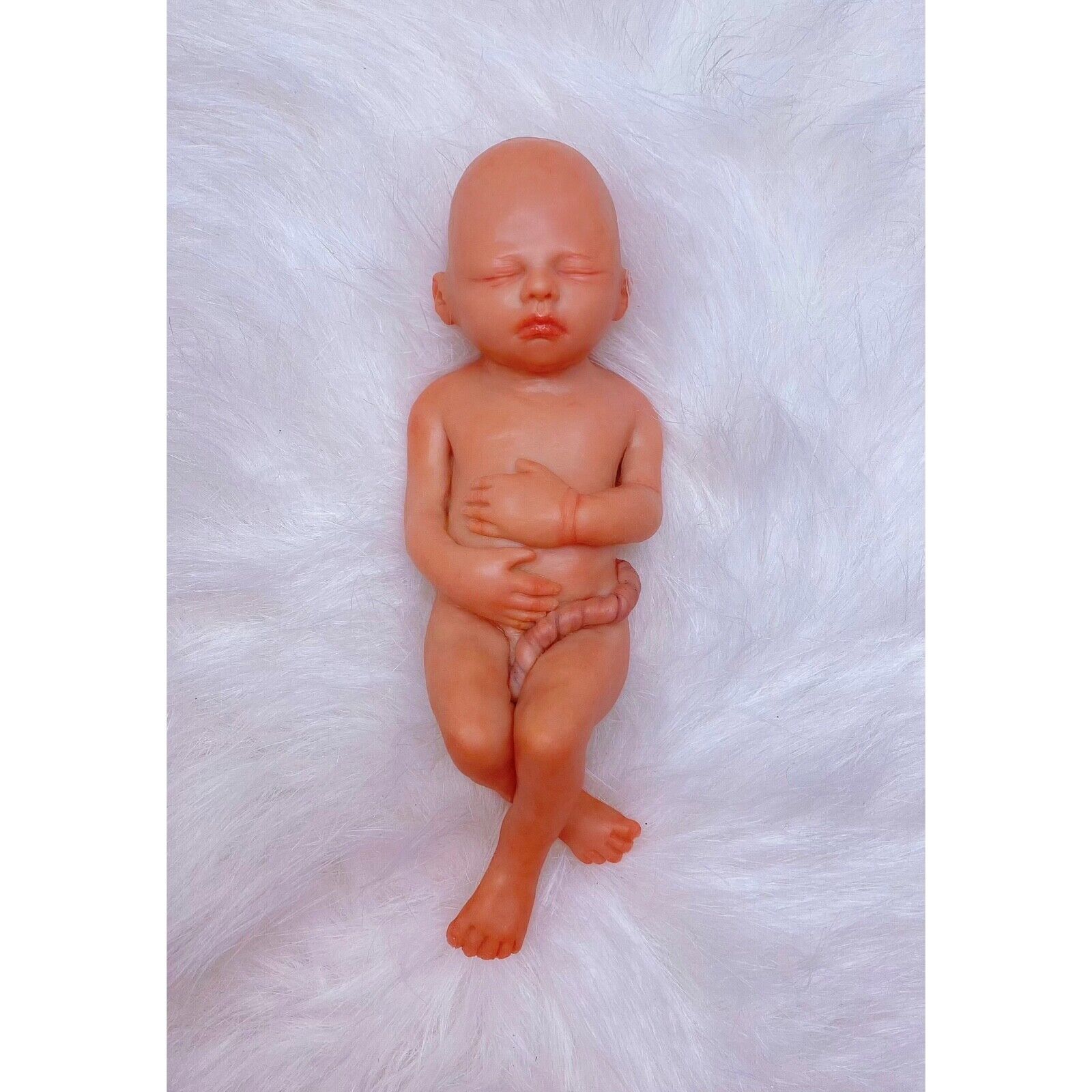 19 Weeks Baby Fetus, Stage of Fetal Development (Memorial/Miscarriage/Keepsake)