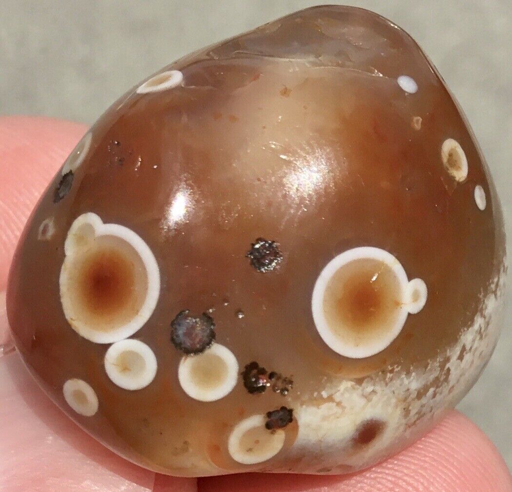 1 oz Lake Superior Agate TOP SHELF Polished High Contrast Countless Eyes Lsa