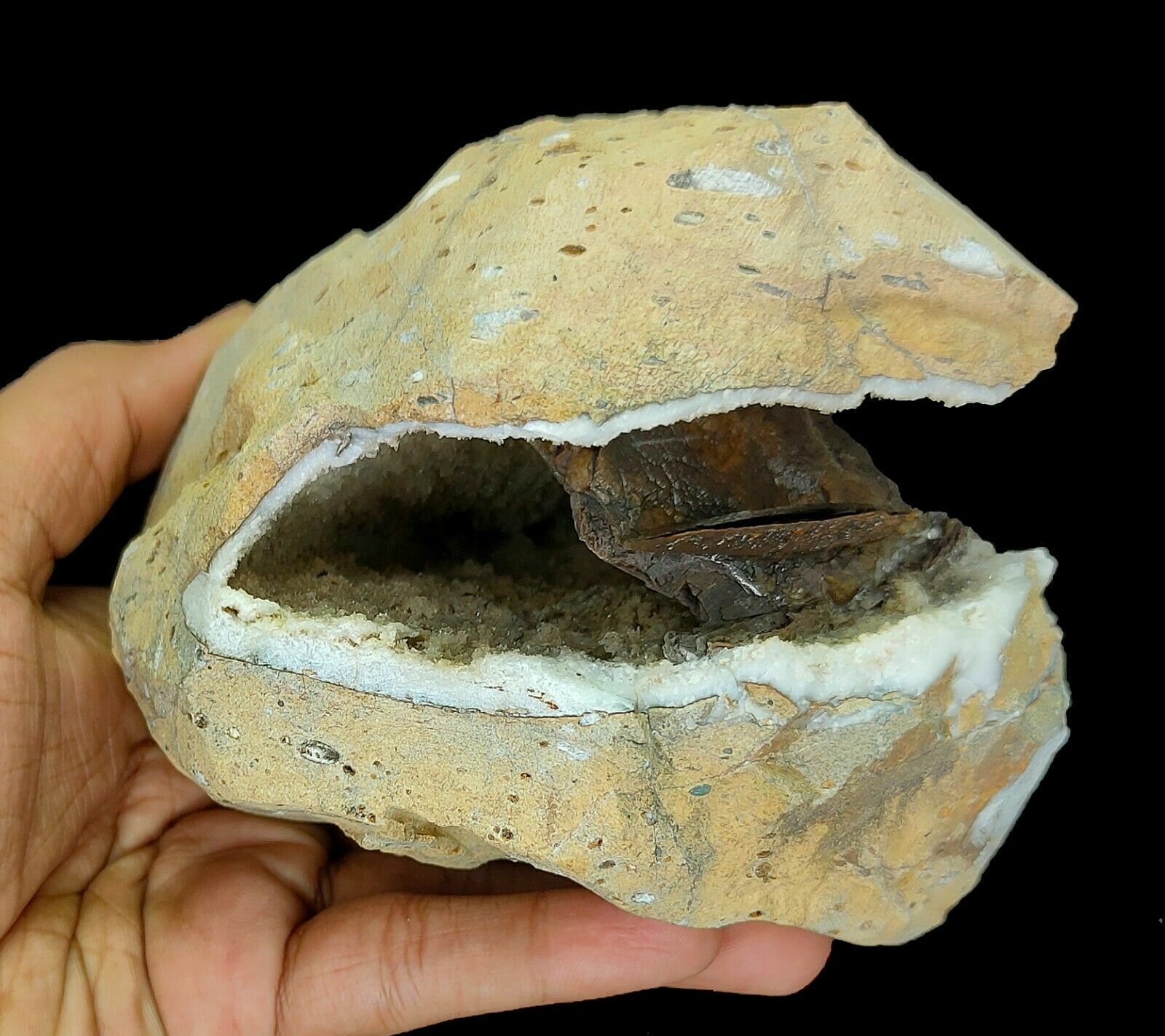 2.5 LB Unique Calcite In Chalcedony Geode Mineral Specimen