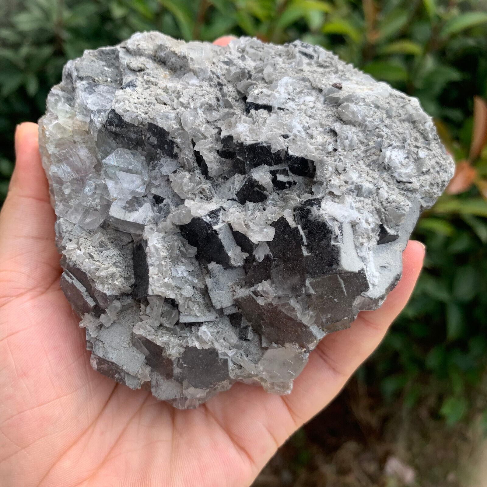 1.32LB Natural Calcite Specimen mineral Cluster healing G269