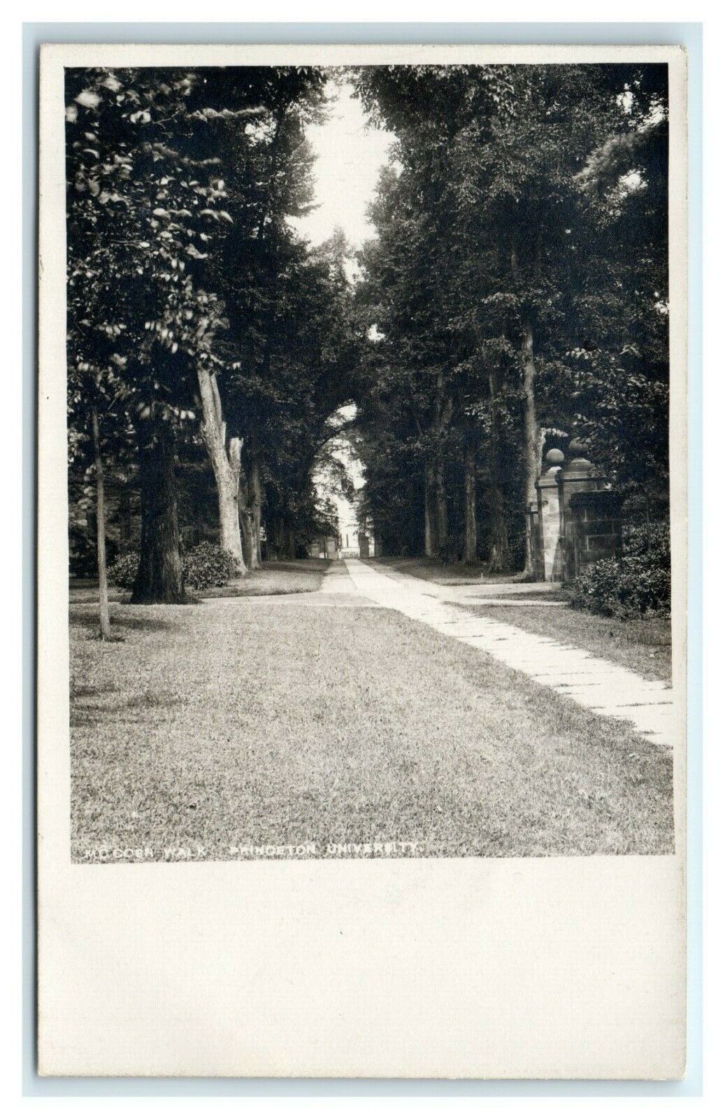 Postcard McCosh Walk, Princeton University NJ 1906-1915 RPPC J2