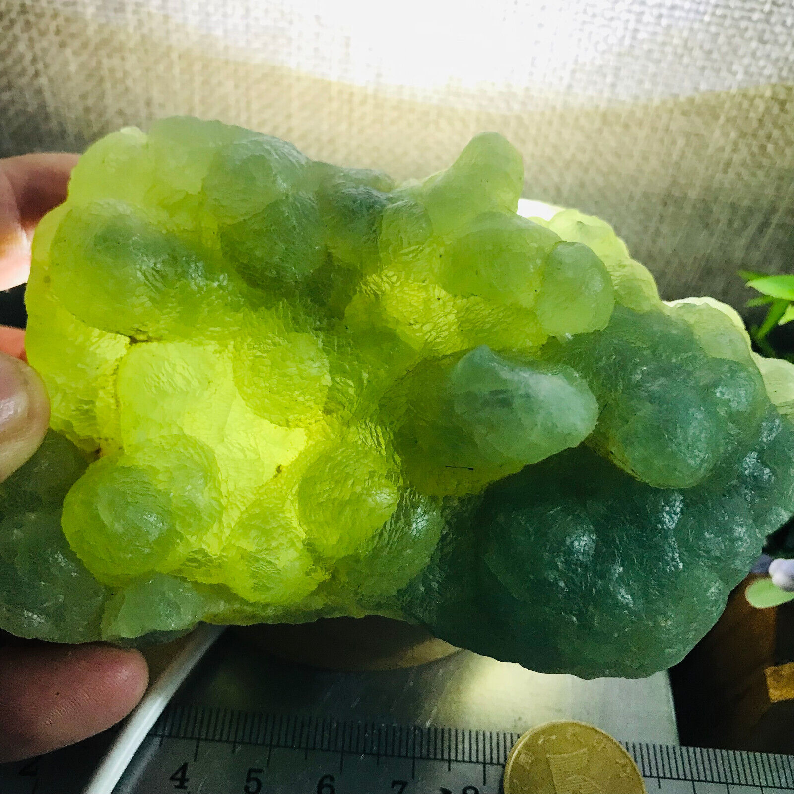 265g Natural green chalcedony grape agate crystal specimen Indonesia  05