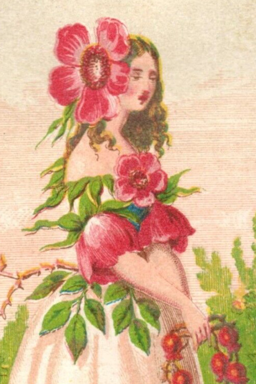 1870s-80s J.H. Ranney Florist & Seedsman Anthropomorphic Flower Lady #8 F113