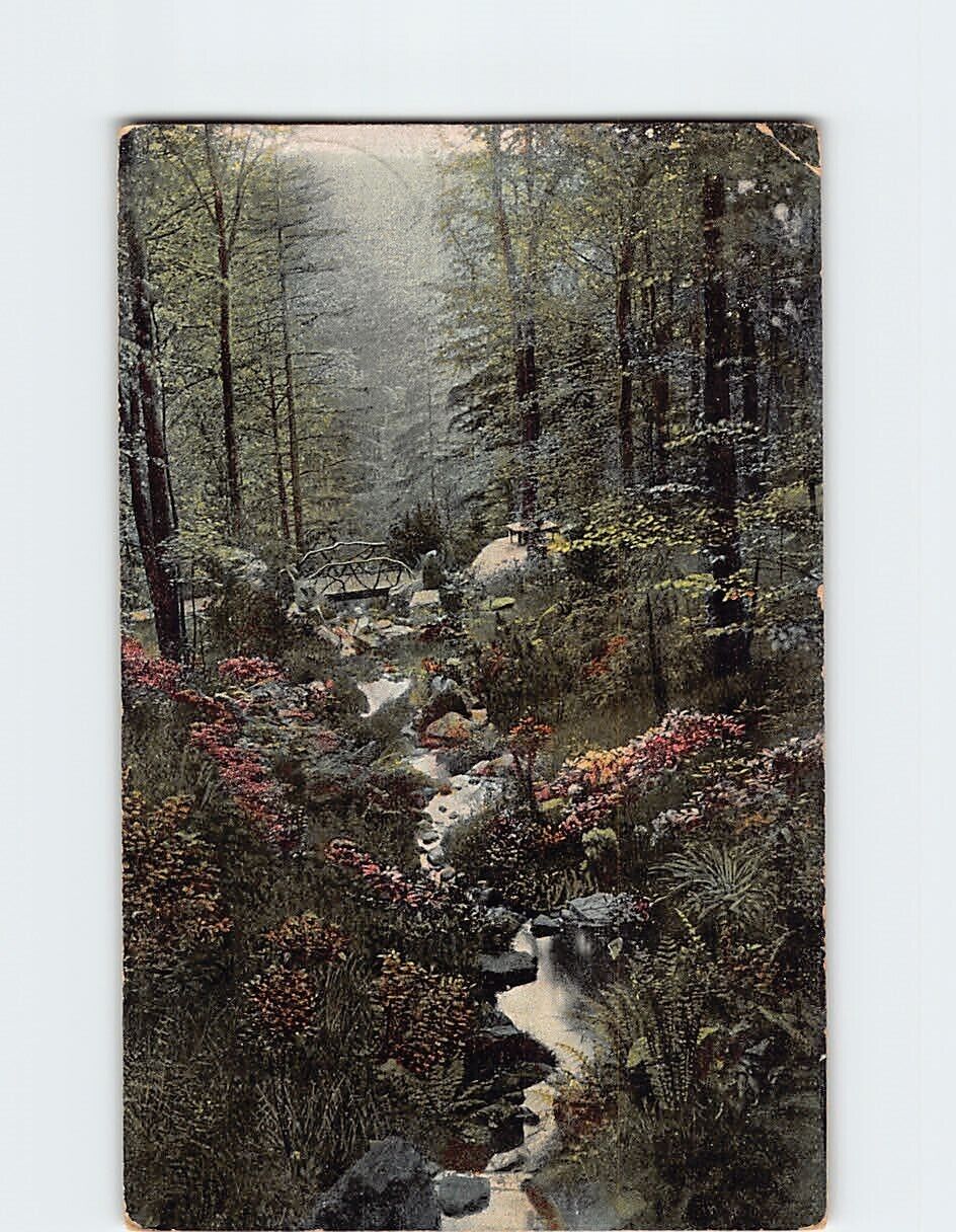 Postcard Beautiful Nature Scene