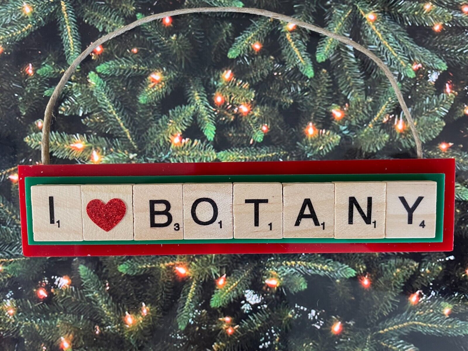 I Love Botany Christmas Ornament Scrabble Tiles Handcrafted Plant Biology