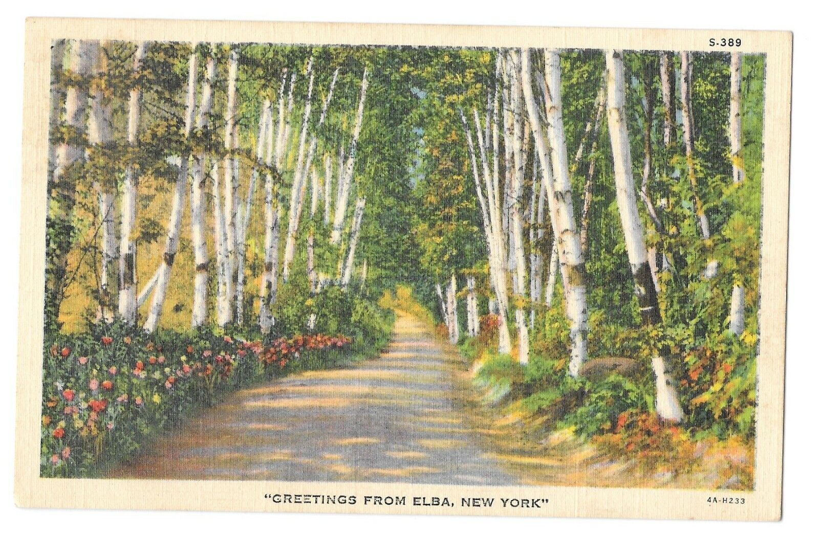 Vintage Postcard Greetings from Elba, New York PM 1946 CT Landscape Series