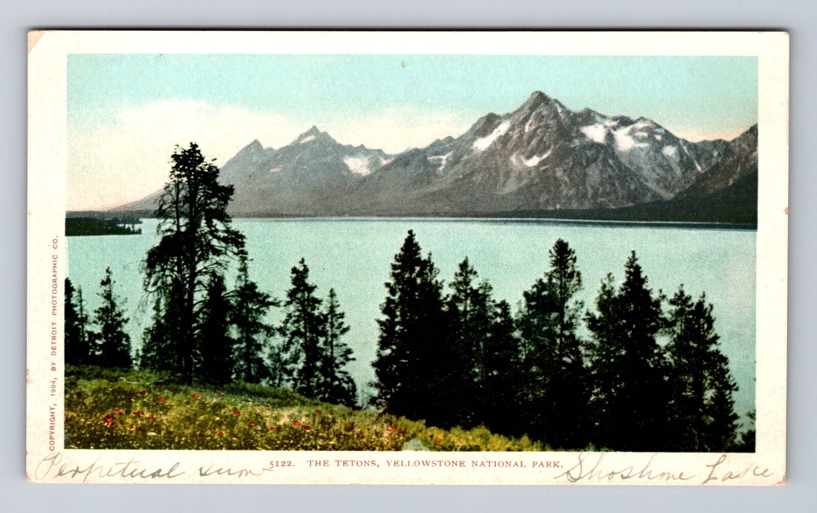 Yellowstone National Park, The Tetons, Antique, Vintage Postcard