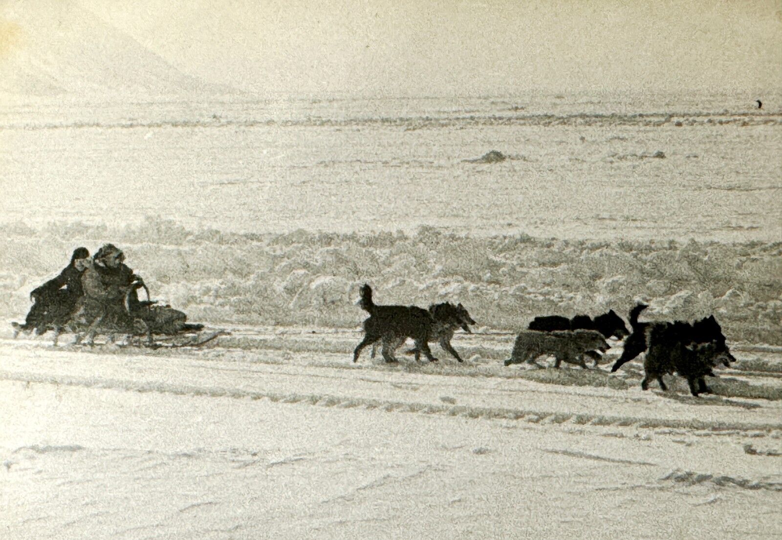 1950s Far North USSR Chukotka Dog Sledding Vintage Photo B&W Snapshot