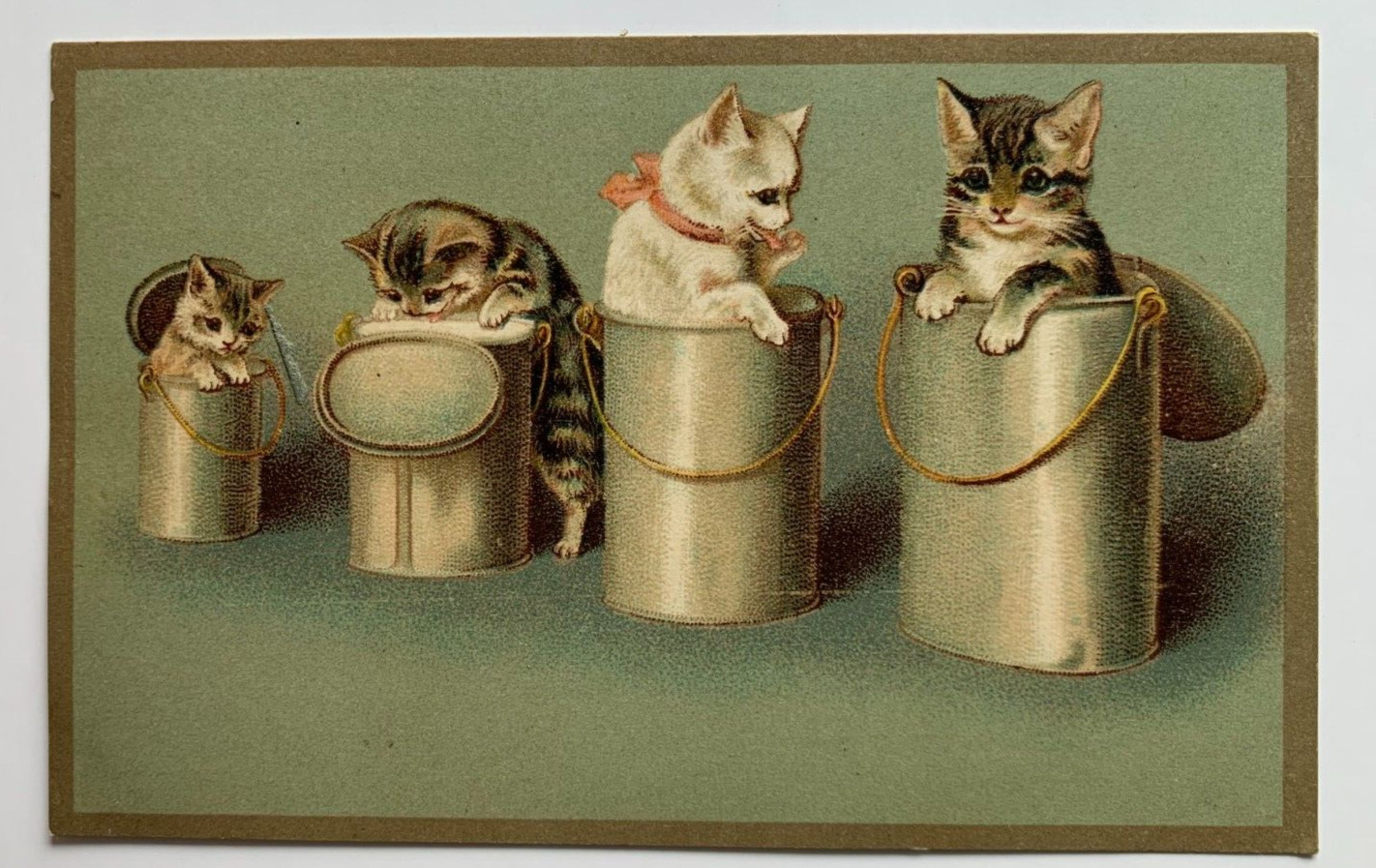 Vintage ca 1900s Postcard Cats Kittens in Tins Containers art