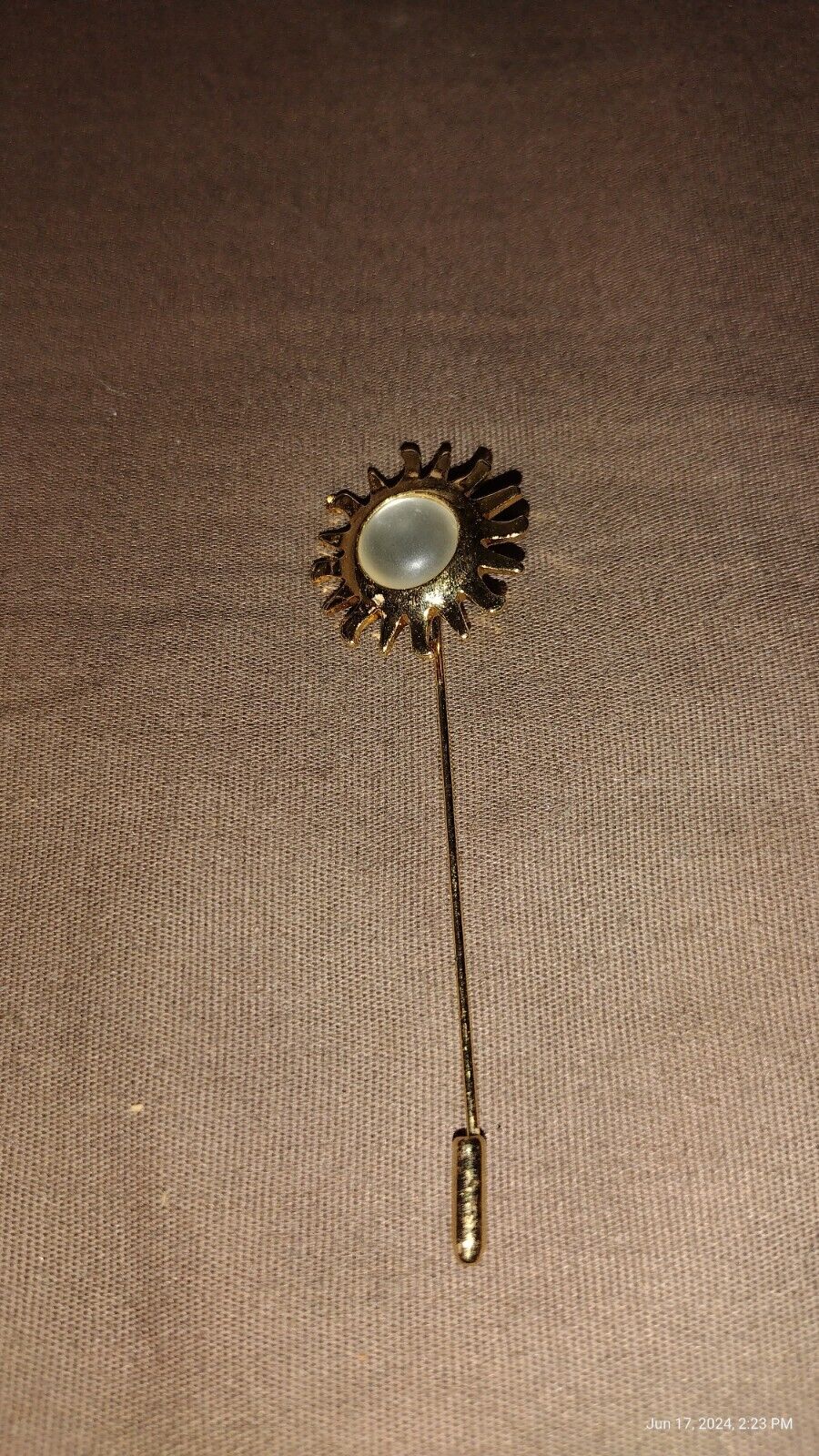 2 Vintage Stick Pins