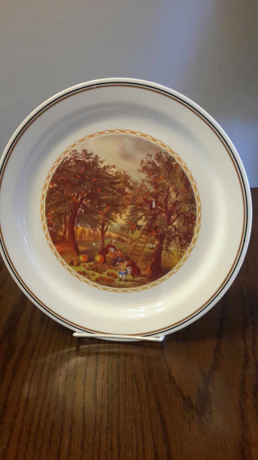 Vintage Corelle Plate 