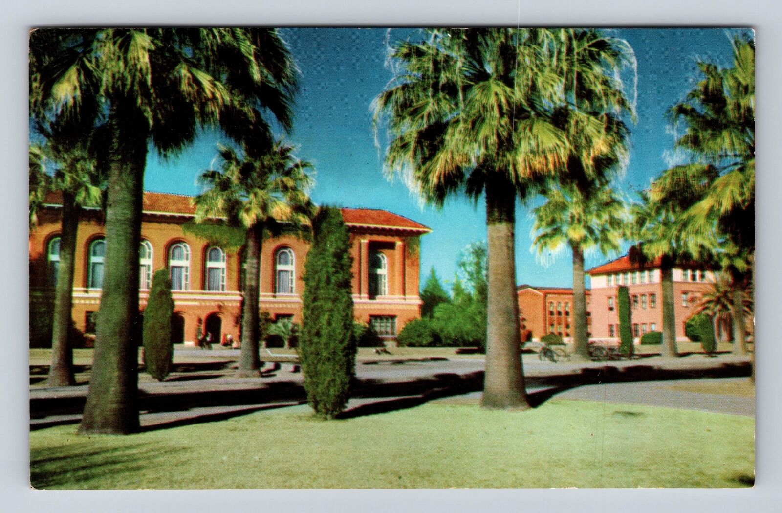 Tucson AZ-Arizona, University Of Arizona Campus, Vintage c1959 Souvenir Postcard