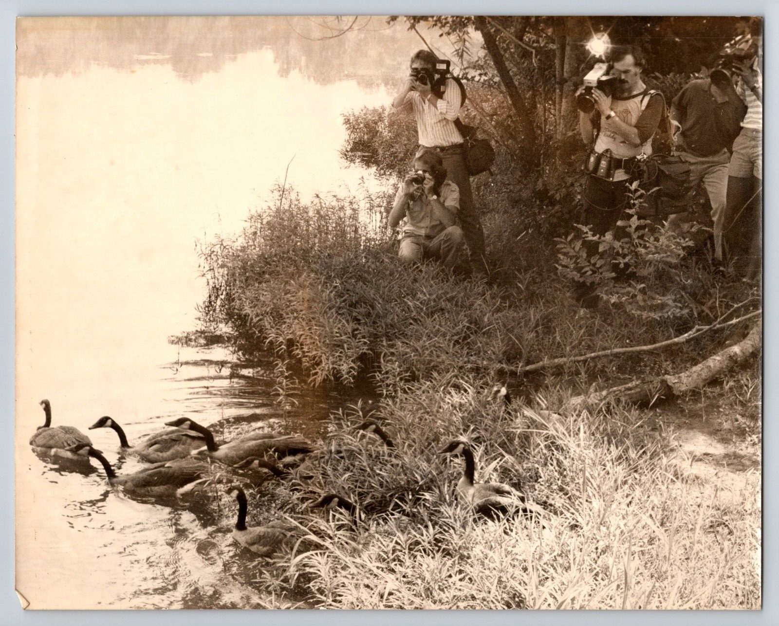 Vintage photograph B/W 8x10 photographers, geese, lake