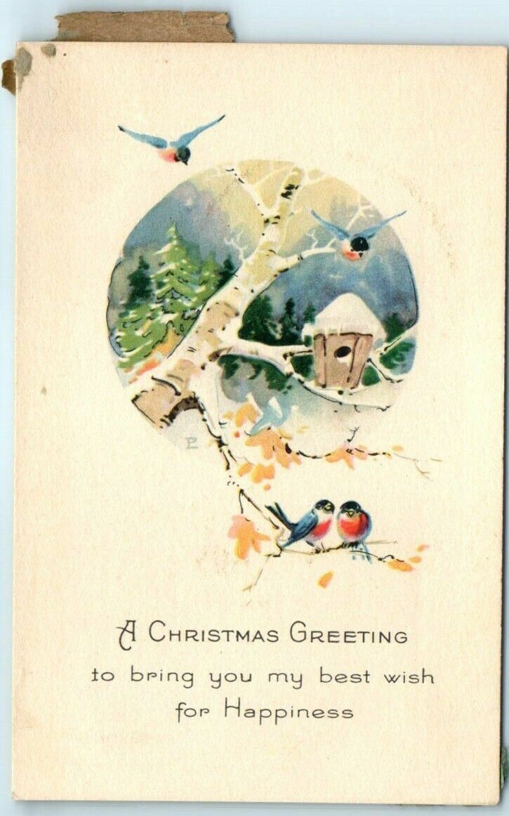 Postcard - A Christmas Greeting