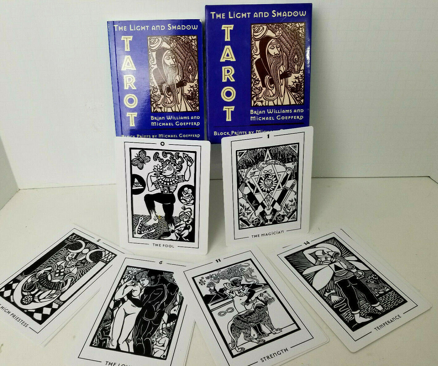Light and Shadow Tarot Deck  Brian Williams  Book set Brian Williams NWOT Boxed