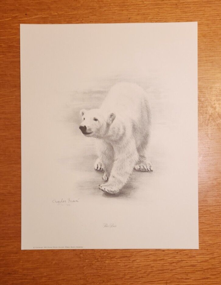 Charles Frace POLAR BEAR Sketch 1980 Frame House Gallery Signed Print