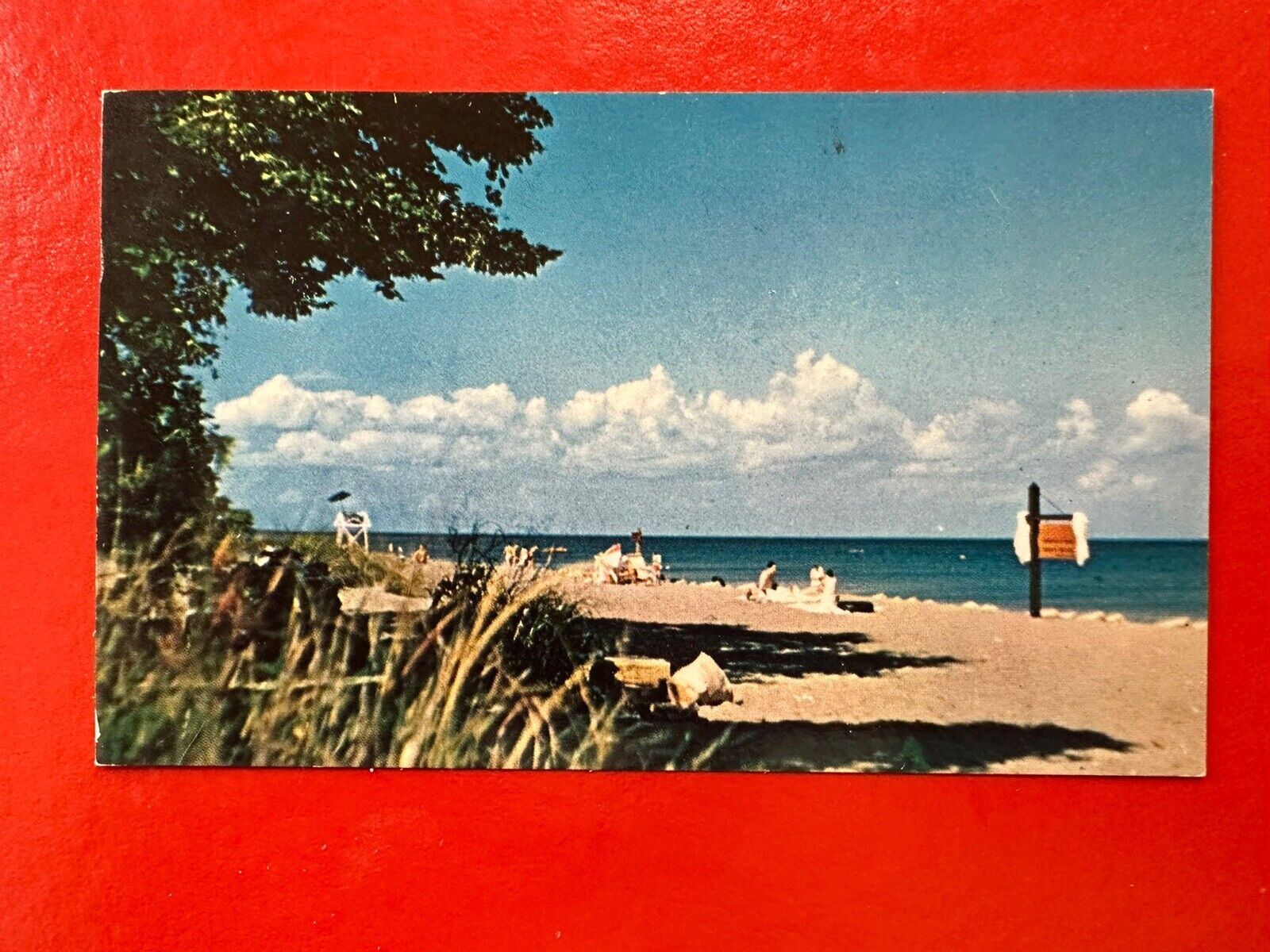 1950s Vintage POINT PELEE PARK BEACH LEAMINGTON Postcard~ONTARIO CANADA