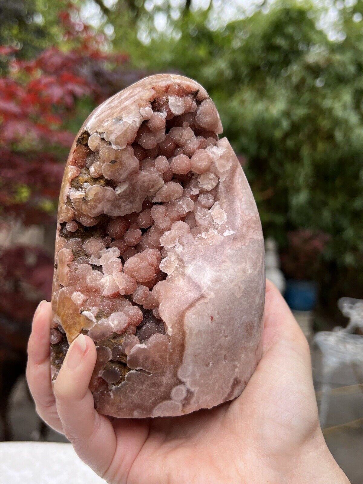 Large Brazilian Pink Amethyst Crystal Geode Freeform AAA+ 1145g 43