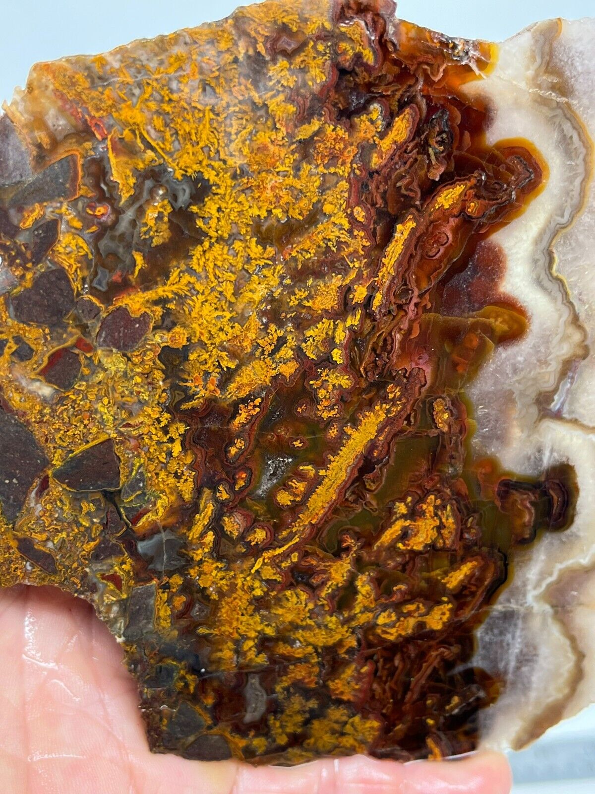 Turkish Golden Moss Agate slab Cabbing Lapidary Collecting Combo Ship Avail