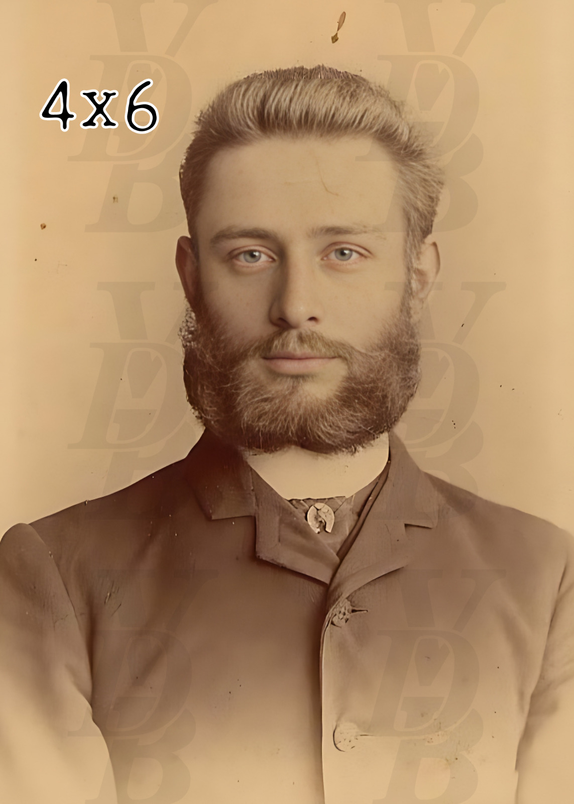 Antique Male Portrait Photograph 1890s Handsome Bearded Beau Photo 4 x 6