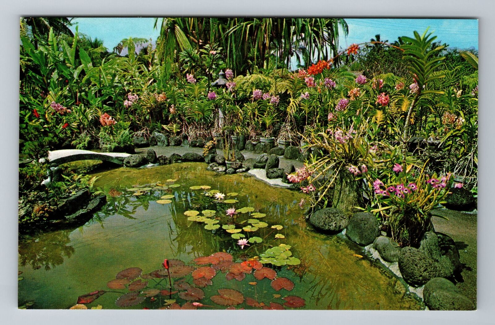 Hilo HI-Hawaii, Kong's Floraleigh Garden, Orchids, Vintage Postcard