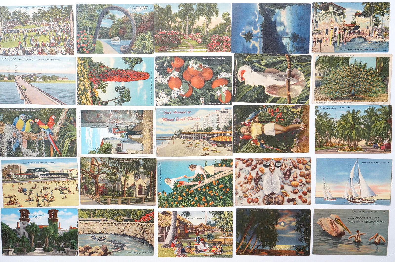 FLORIDA Linen Postcard LOT 25 Views Animals Oranges Flowers People Old FL Cards
