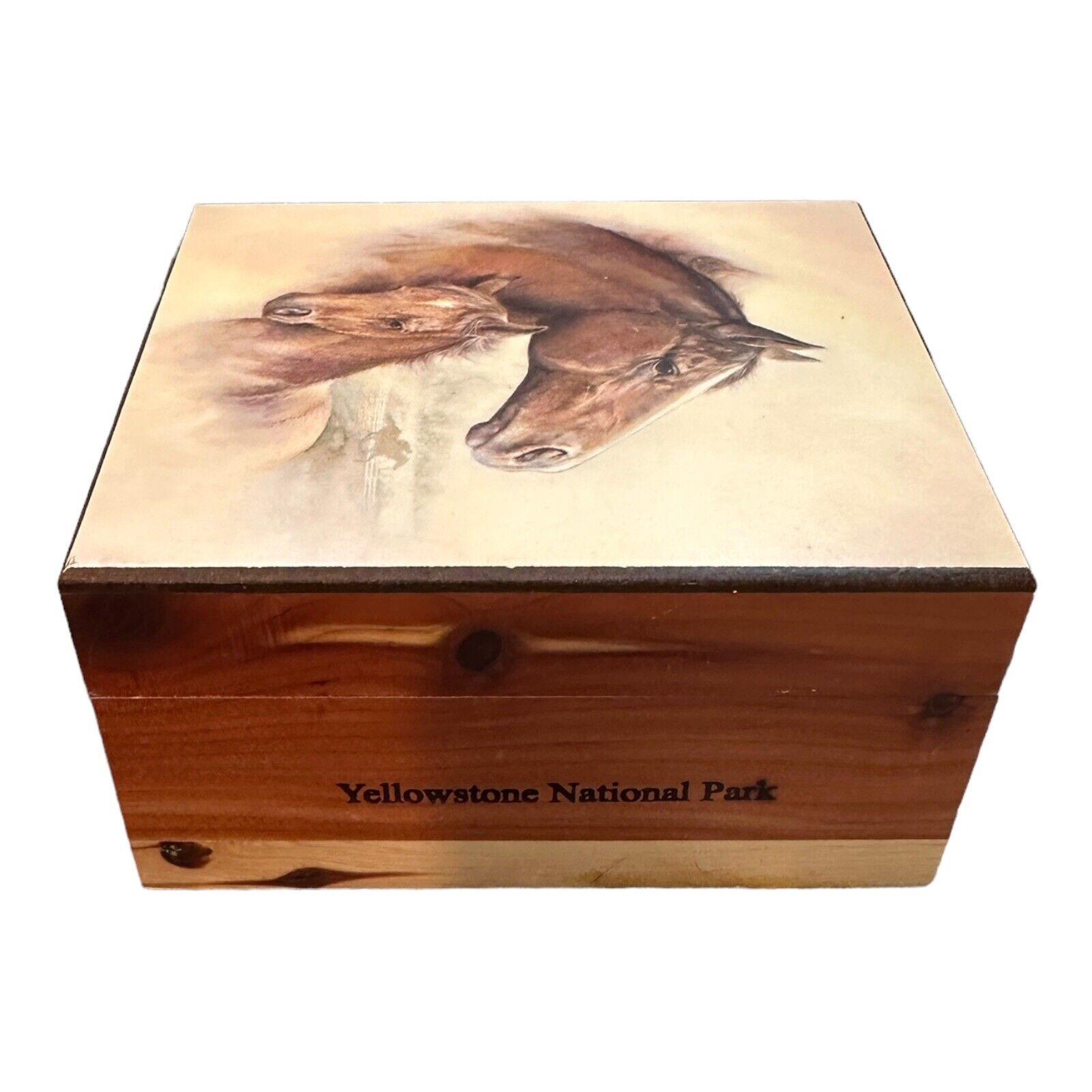 Vintage Yellowstone National Park Cedar Box Horse Mini Chest  Jewelry Box
