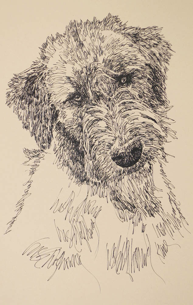 Irish Wolfhound Dog Art Portrait Print #34 Kline adds dog name free WORD DRAWING