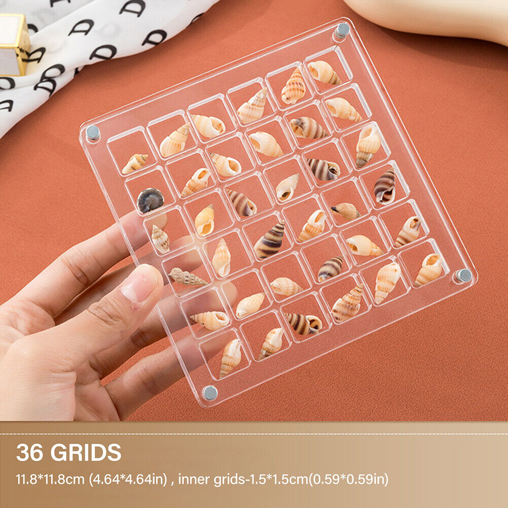Acrylic Magnetic Seashell Display Box 36/64/100 Grids Clear Gemstone Storage