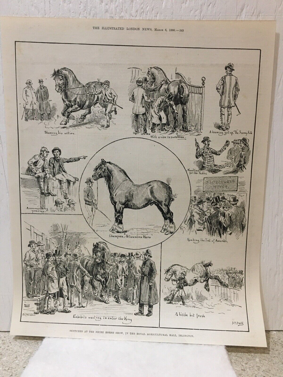 THE ILLUSTRATED LONDON NEWS - March 1886 - Sketches At The Horse Show Islington
