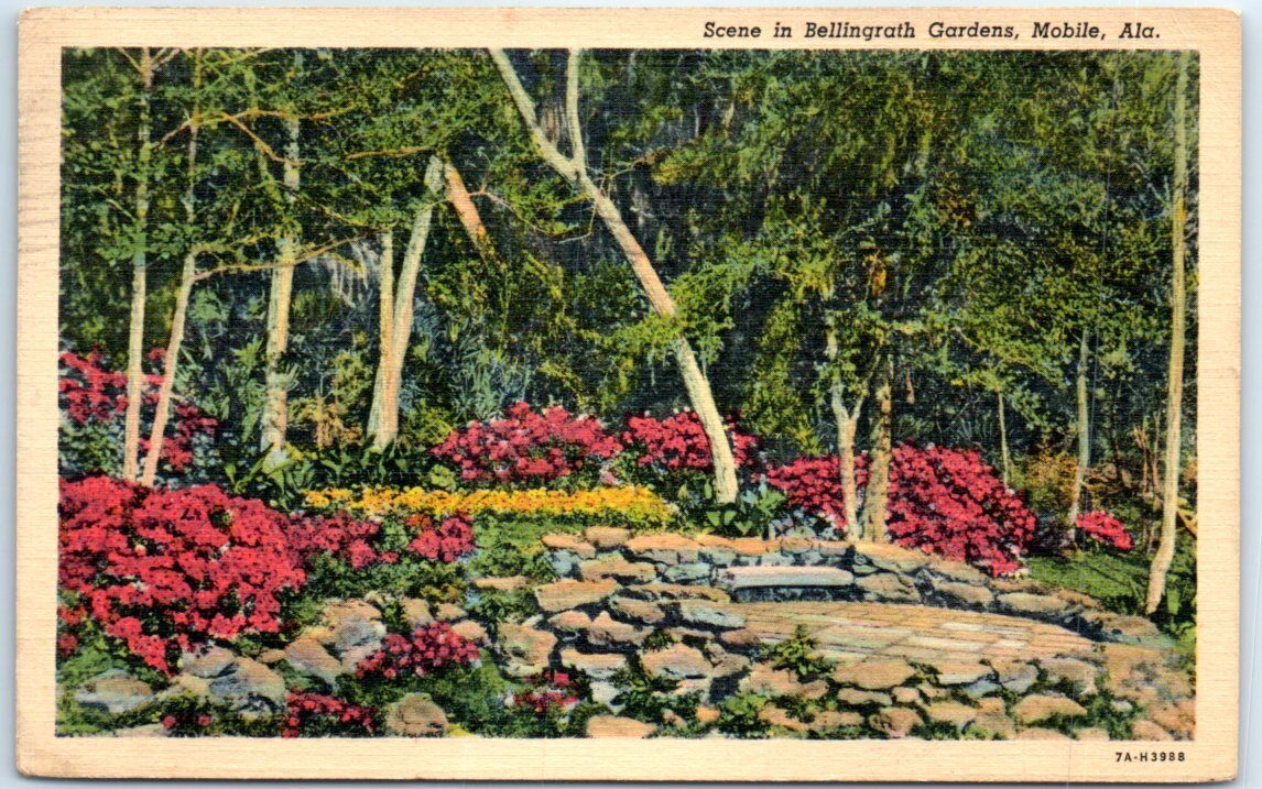 Postcard - Scene in Bellingrath Gardens - Mobile, Alabama