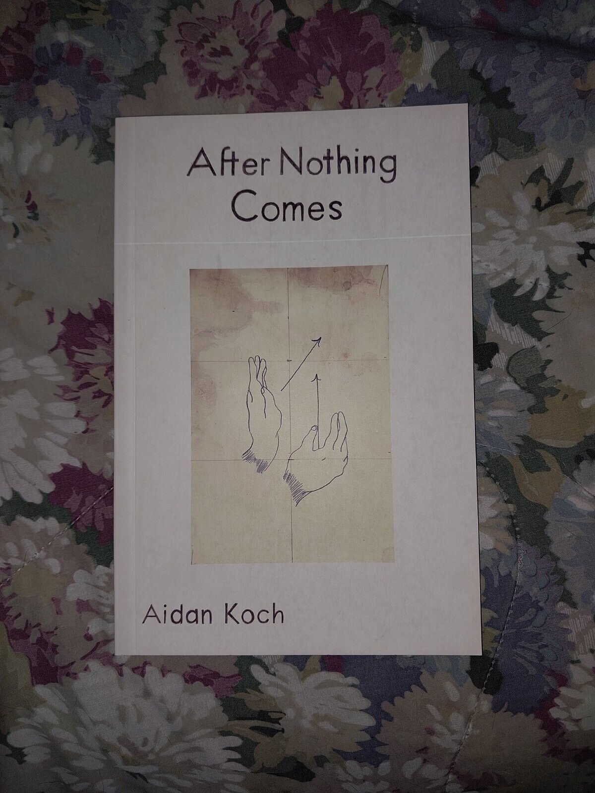 Aidan Koch - After Nothing Comes Selected Zines Koyama Press Collection Rare 