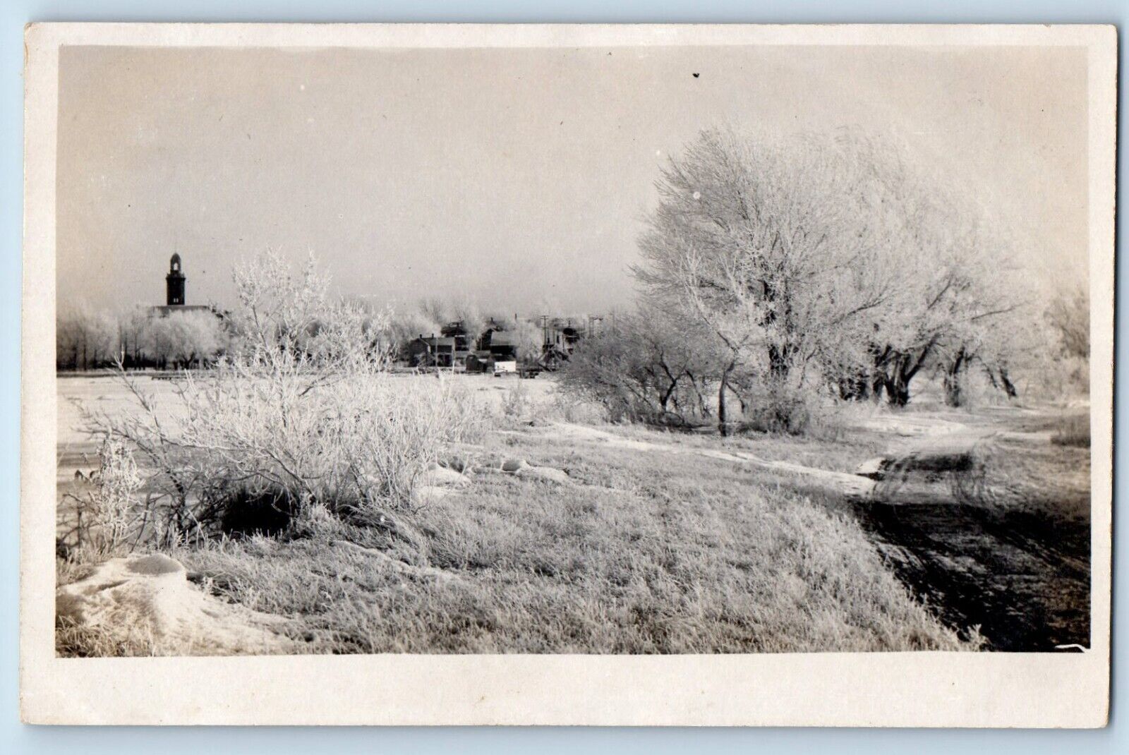 Nashua Iowa IA Postcard RPPC Photo Scene Field c1910's Unposted Antique