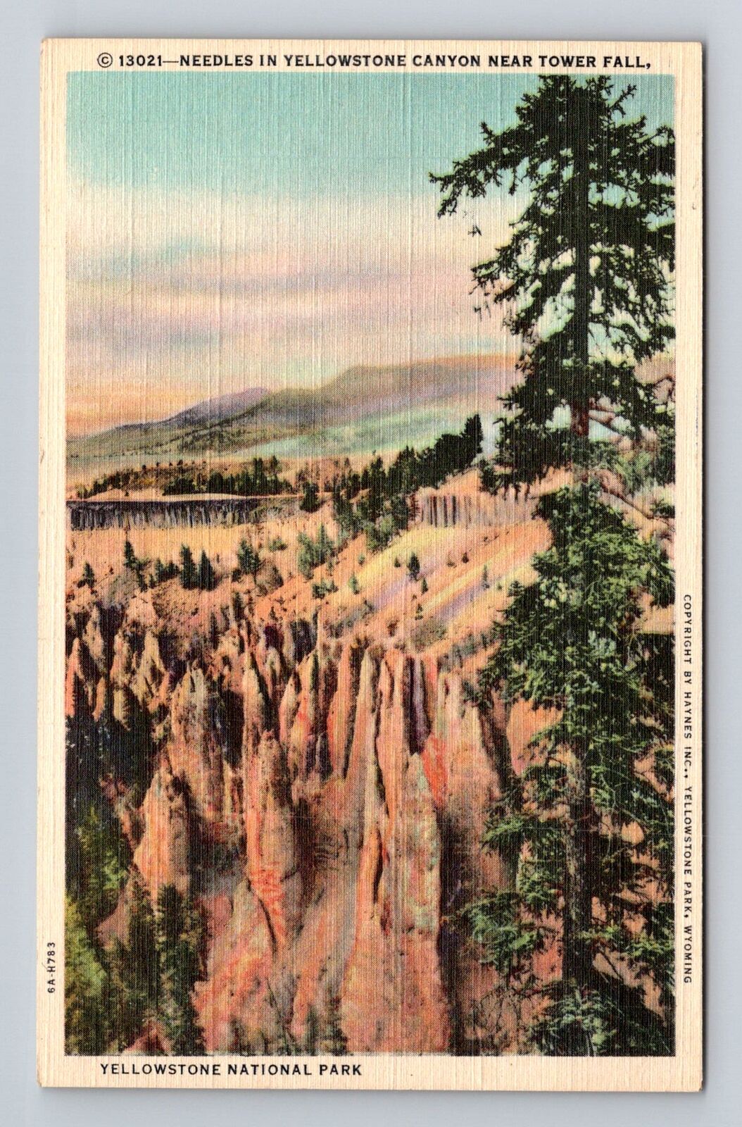 Yellowstone National Park, Needles, Series #13021 Vintage Souvenir Postcard