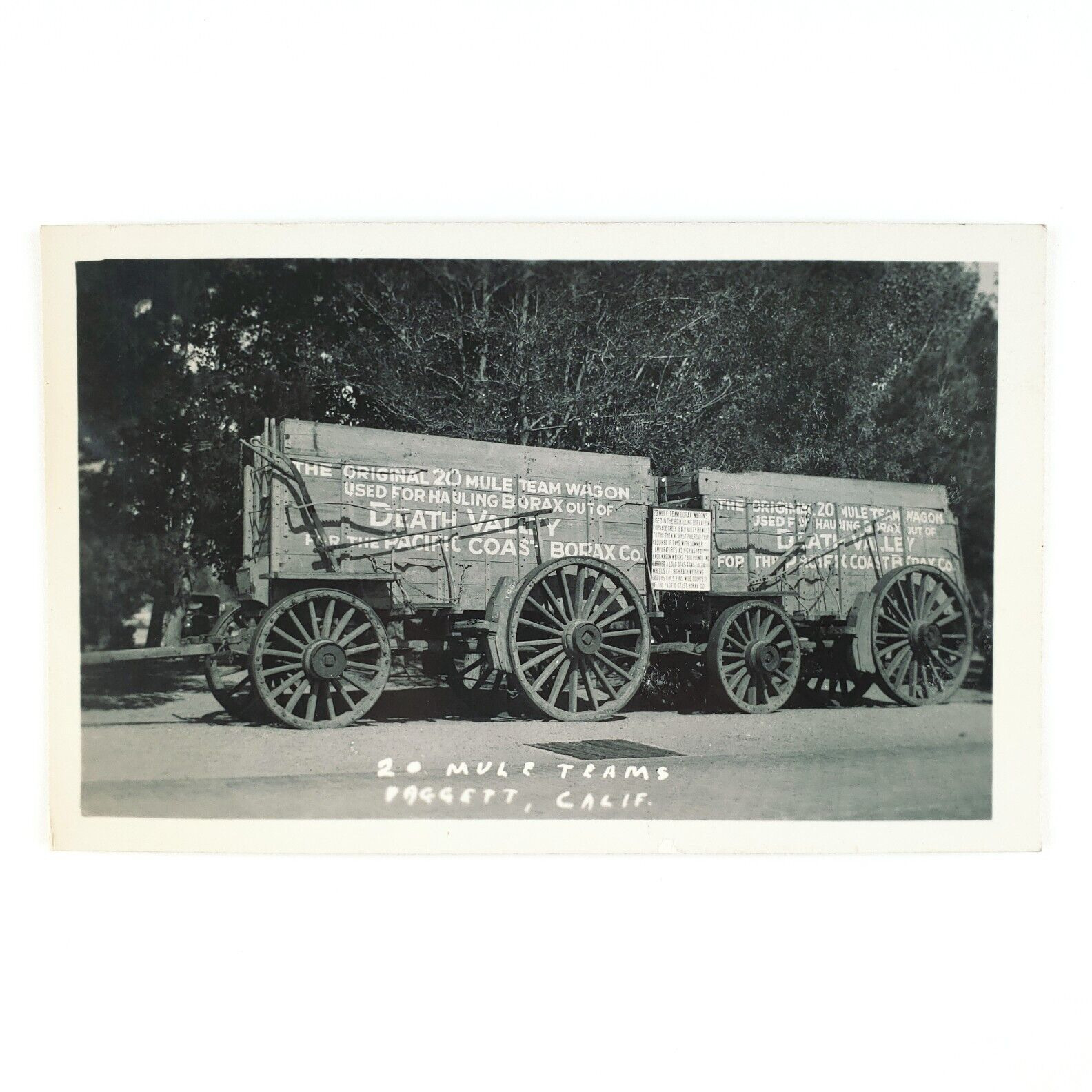 Borax 20 Mule Team RPPC Postcard 1920s Death Valley California Wagon Photo C1861