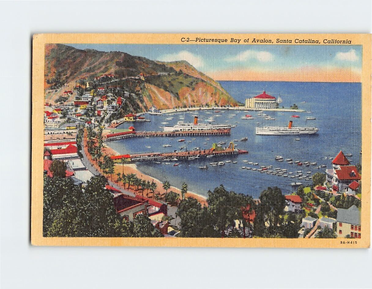 Postcard Picturesque Bay of Avalon Santa Catalina California USA