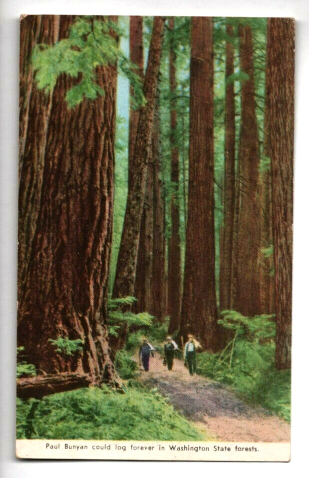 c1940s Washington State Forests Paul Bunyan Could Log Forever WWII Postcard