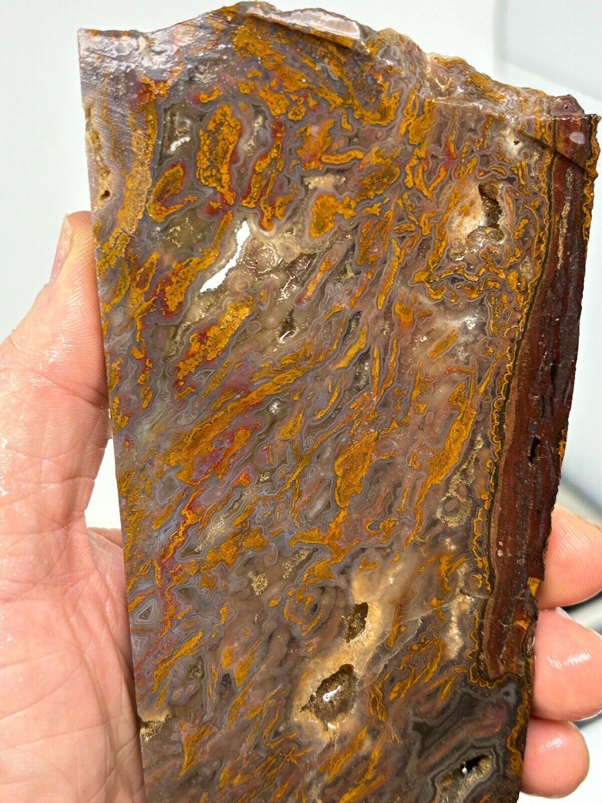 Large Turkish Golden Moss Agate slab Cabbing Lapidary Collecting Combo Ship aval