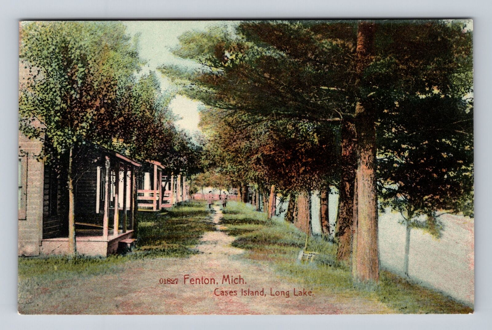 Fenton MI-Michigan, Cases Island, Long Lake, Antique, Vintage c1909 Postcard
