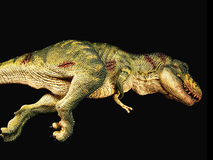 T-Rex Tyrannosaurus Rex Carcass Bites the Dust Jungle 1/35 Scale Replica REBOR