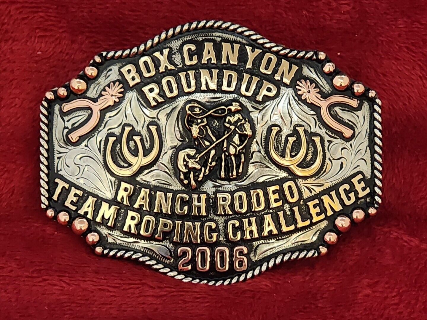 TROPHY CHAMPION RODEO BELT BUCKLE☆2006☆CANYON RANCH RODEO TEAM ROPING☆RARE☆721