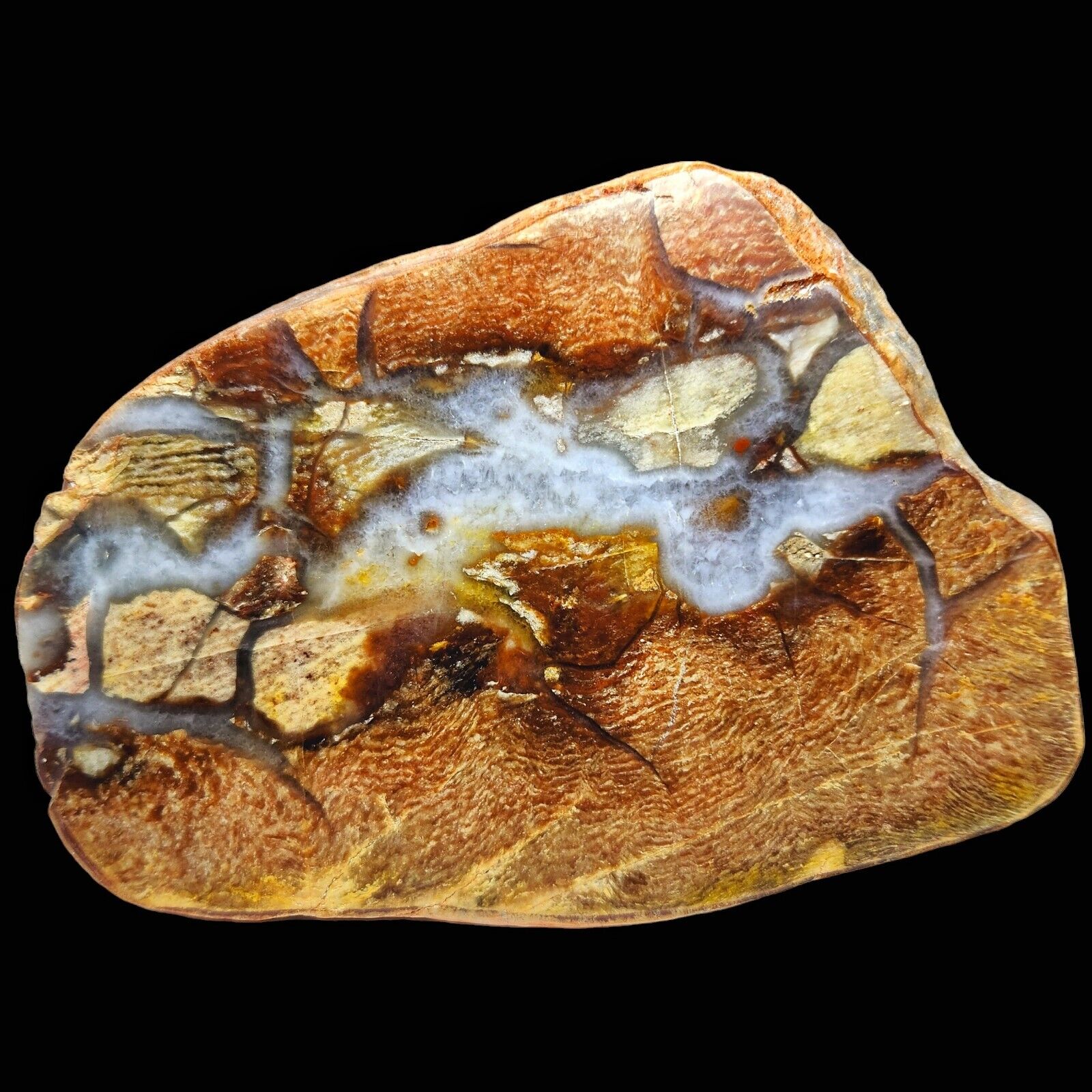Septarian Chert Concretion, Polished Half Nodule, 2.5 Billion Years Old, 625g
