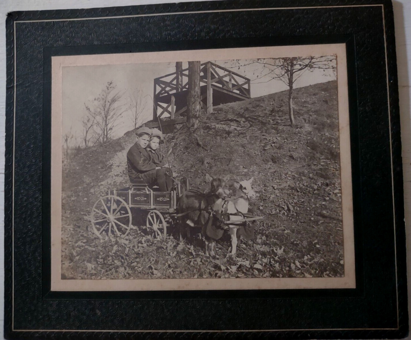 1920s Goat Cart Photograph Eldredge Boys / C C DeLisle Salamanca NY