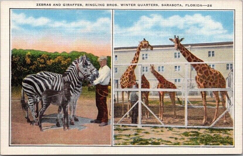 Sarasota, Florida Postcard \