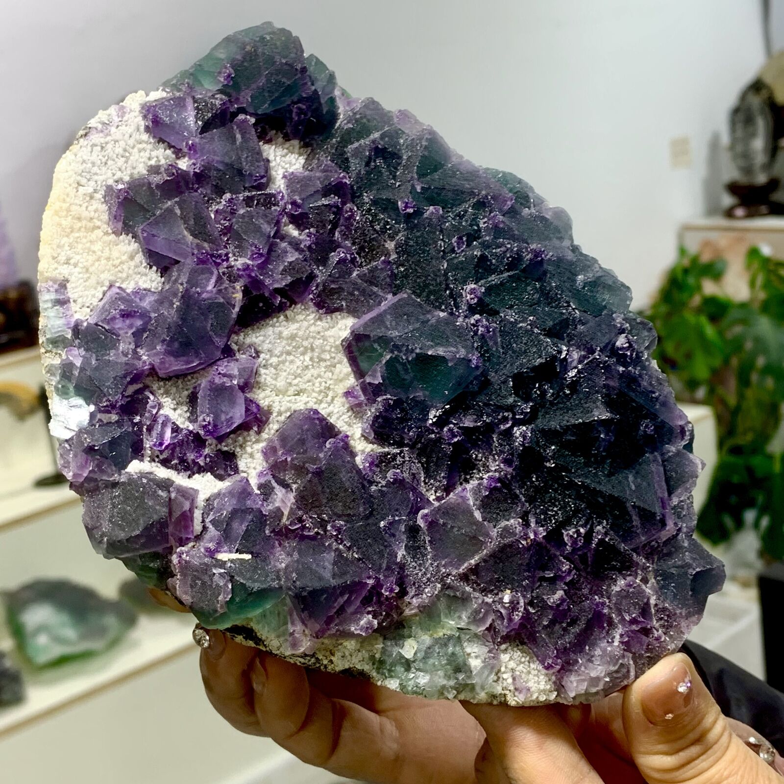 2.6LB Natural purple-green cubic fluorite mineral crystal sample/China