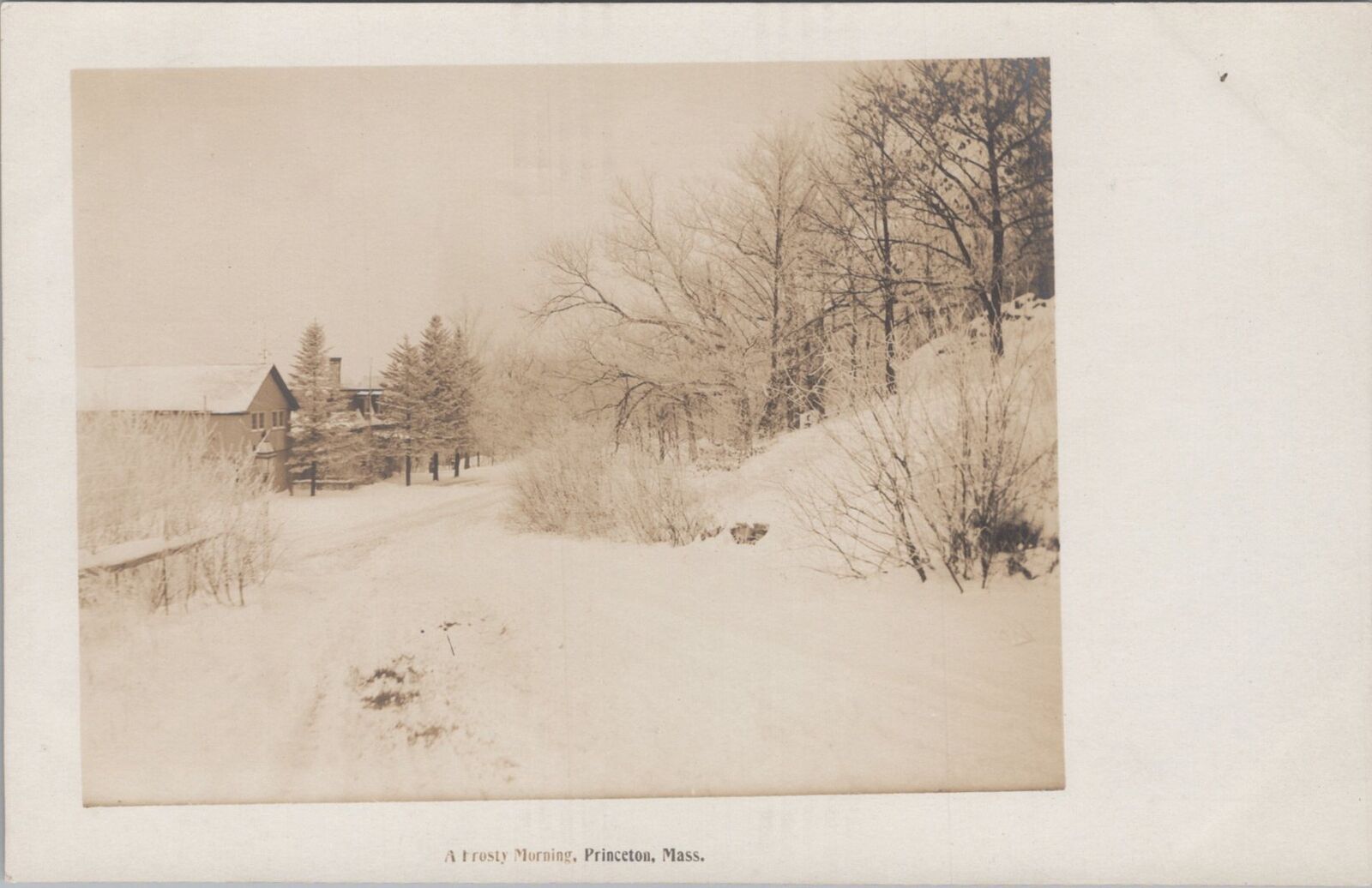 Frosty Morning, Princeton, Massachusetts Snow Scene Unposted RPPC 1900s Postcard