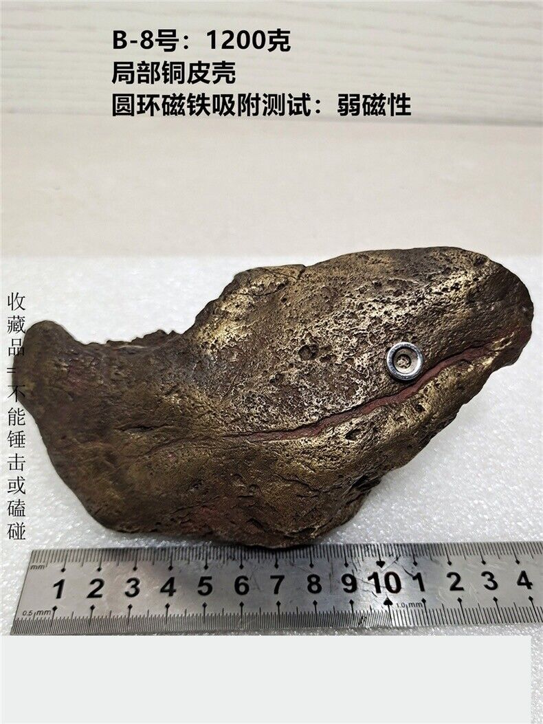 1200g  Natural Iron Copper shell  Meteorite Specimen from   China B8
